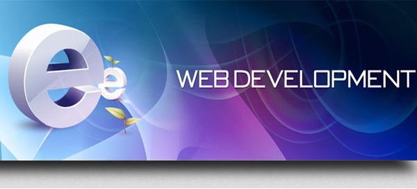 Professional Web Development
